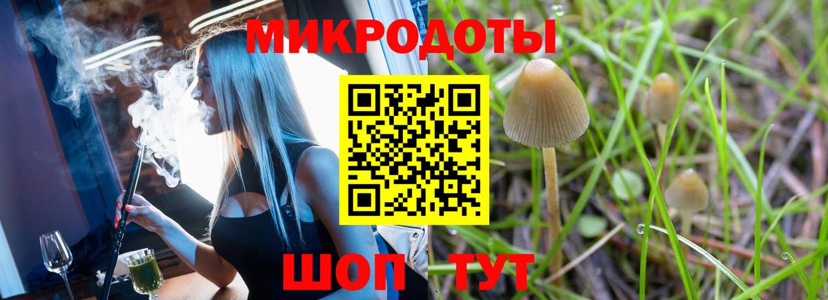 Галлюциногенные грибы GOLDEN TEACHER Лянтор